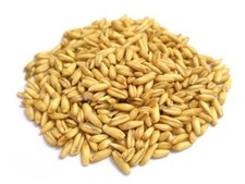 Avena Decorticata 1kg Seme Per