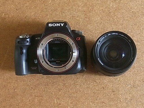 Sony α33 slt - slt-a33, con