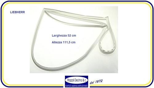 Guarnizione porta frigo - guarnizione,