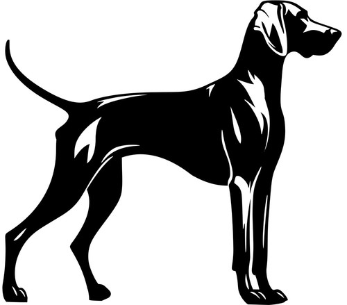 Adesivo weimaraner - adesivo,