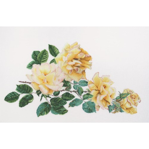 Thea gouverneur kit - thea,