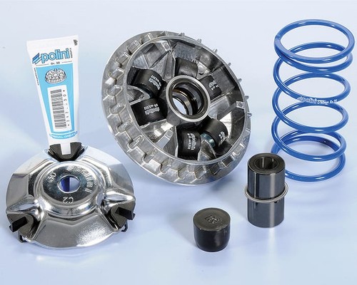 Variatore polini speed - variatore,