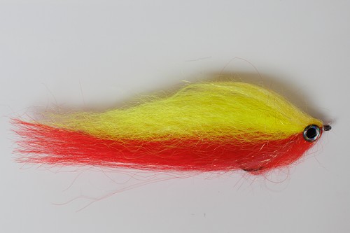 Fliegentom pesce predatore