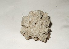 Minerali grezzi - minerali,
