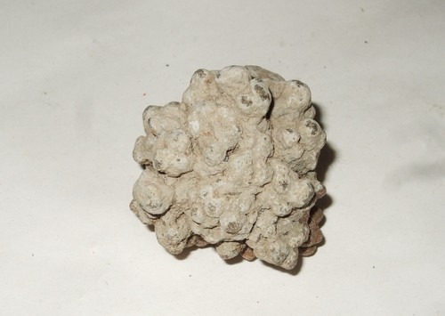 Minerali grezzi - -,