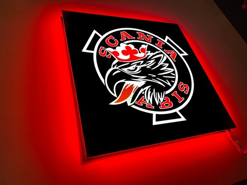 Targa luminosa led scania - luminosa,