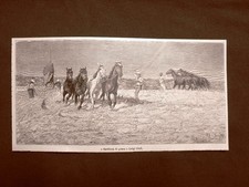 Battitura del grano Quadro L