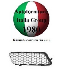 GRIGLIA PARAURTI ANTERIORE