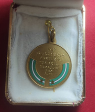 Medaglia d'oro al Valore Militare 54° Reggimento Fanteria "Umbria" Novara 1973