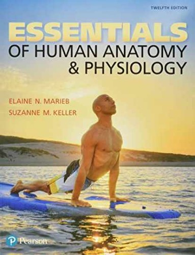 Essentials human anatomy - anatomy,