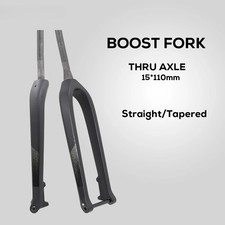 Forcella anteriore full carbon