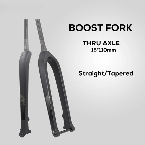 Forcella anteriore full carbon