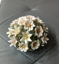 Vasetto di fiori margherite