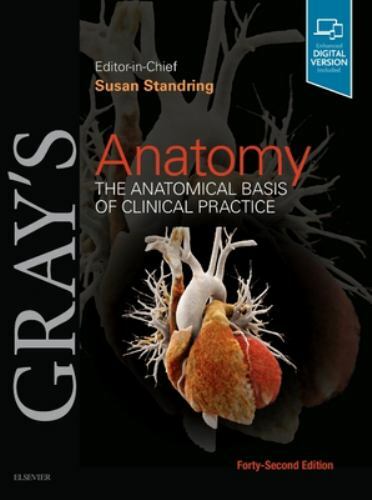 Gray anatomy the - anatomy,