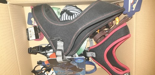 Stock accessori per cani - per,