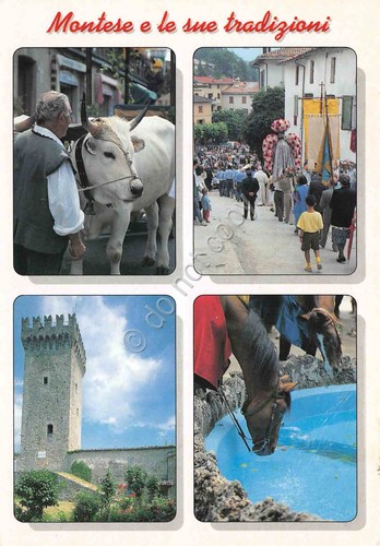 Cartolina montese vedute - cartolina, di