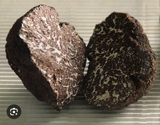 Tartufo Nero Ordinario Fresco Intero 100 Gr- Made In Italy