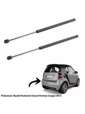 2 Pistoncini A Gas Molla