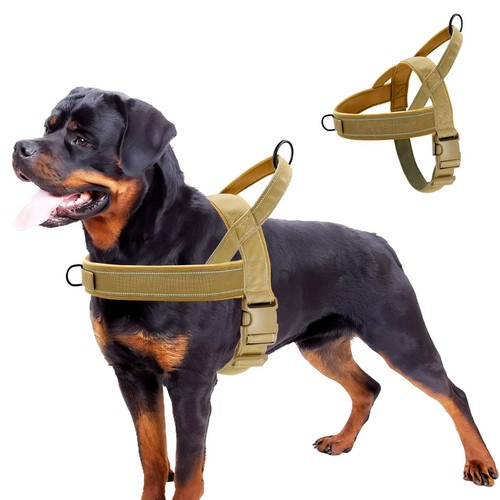 Pettorina per cane - cane, taglia