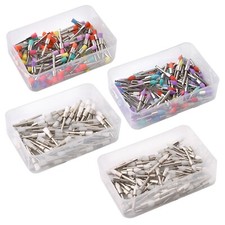 Dental White & Colorful Prophy