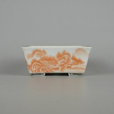 US DUTY PAID | Japanese Bonsai