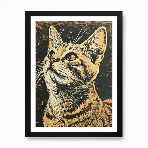 Quadro esotico gatto pelo - a,