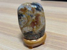 Bonsai di Suiseki Bonseki