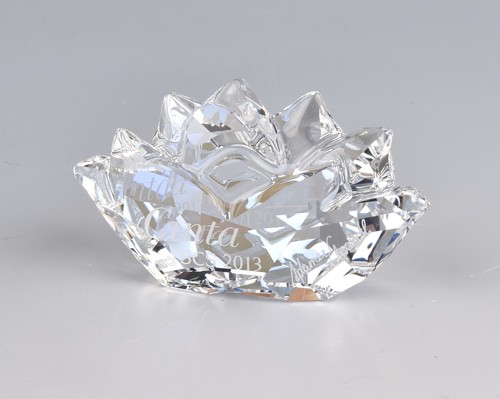 Placca swarovski crystal scs - swarovski,