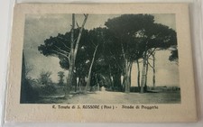 Cartolina Tenuta Di San Rossore Pisa Strada Di Piaggerta Viaggiata Fp
