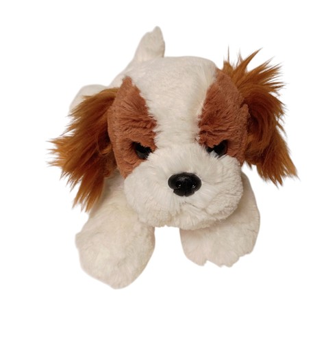 Peluche cane aurora - cane, stella