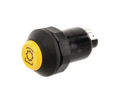 Pneutron pulsante presa di