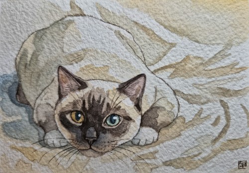 Aceo quadro arte originale - arte,