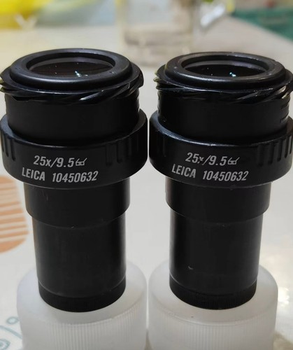 Leica 25x coppia di - 25x/9,5,