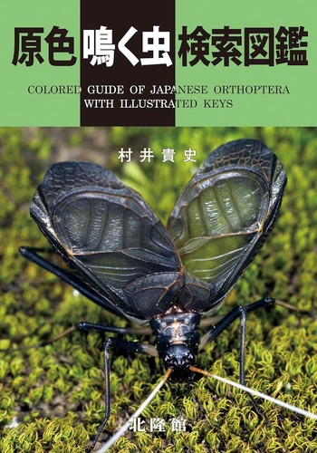 Colored guide japanese - colored,