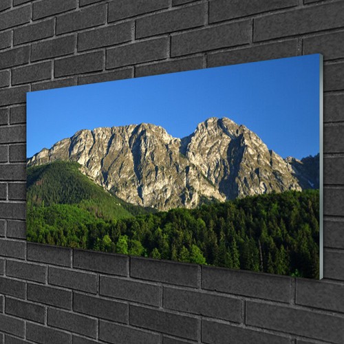 Quadri vetro 100x50 quadro - quadri,