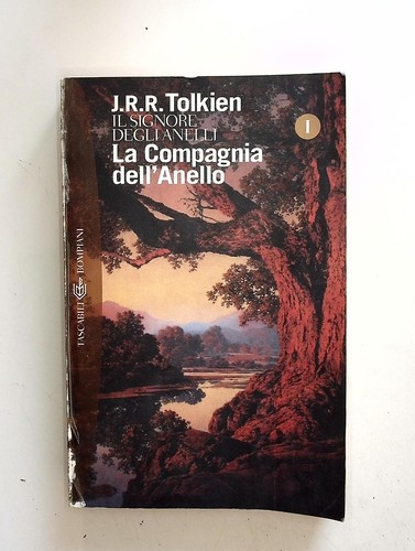 Compagnia dell anello il - compagnia,