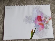 "PIRELLI CALENDAR 2004,"