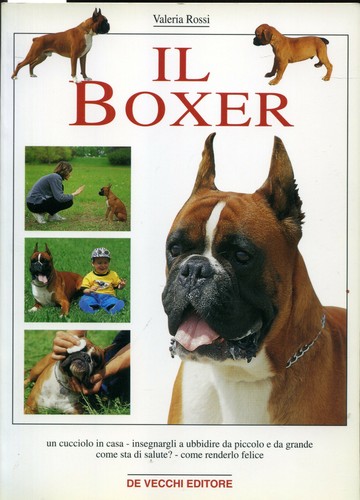 Valeria rosi boxer - rosi, de