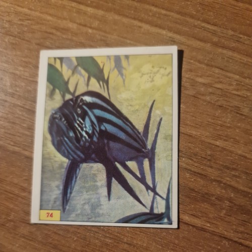 21665 figurine panini - 21665,
