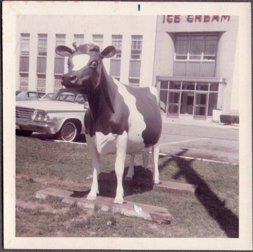 Fotografia vintage anni - anni, 60