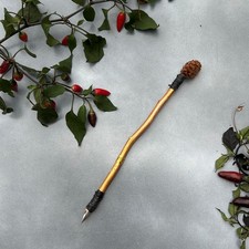 Penna da scrittura streghe