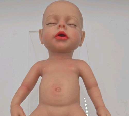 Mini bambola reborn silicone
