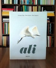 ALI Uccelli Lagune - MARIO