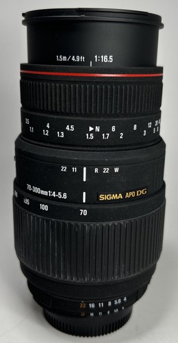 Sigma 300 5 6 apo - sigma, dg