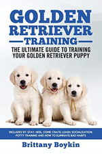 Golden Retriever Training -