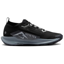 Nike Pegasus Trail 5 GTX