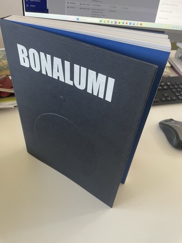 Bonalumi libro catalogo - bonalumi,