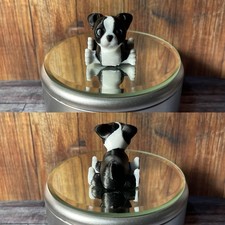 Border Collie Flexi
