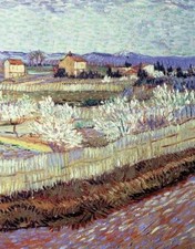 Biology of Plants, Eichhorn