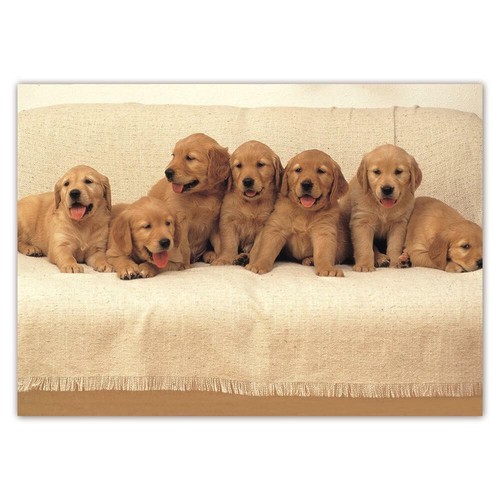 Adesivo regalo golden - regalo:,